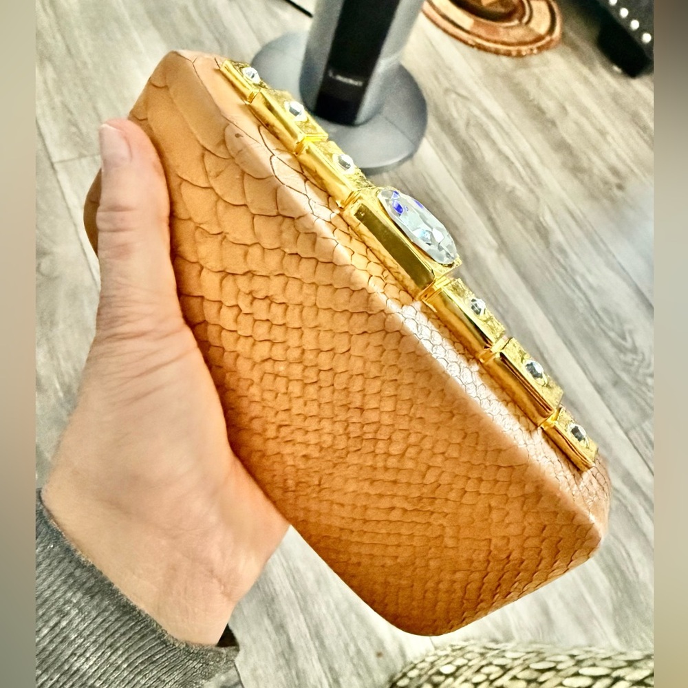 Kate laundry jewel/ snake mini Brown Clutch with Gold Accents